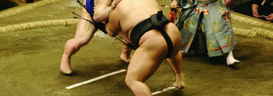 First Decent Japanese Sumo Raised in Captivity for Fifty Years